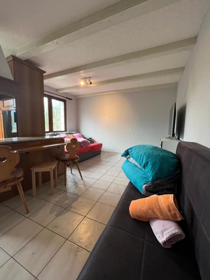 Tiny Apartment With Amazing View, Garden & Terras Schattdorf 외부 사진